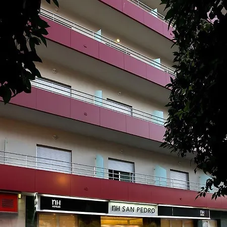 Nh San Pedro De Alcantara 3* 马尔韦利亚