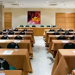 Hotel Nh San Pedro De Alcantara